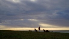 Five Easy Pieces Image 4