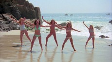 The Pom Pom Girls Image 3