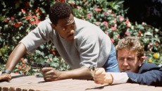 Beverly Hills Cop Image 2