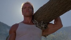 Commando Image 2