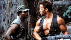 Predator Image 2