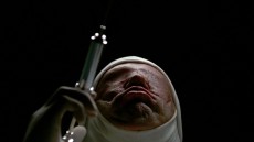 Jacob's Ladder Image 2