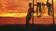 Forrest Gump Image 1