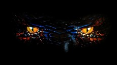 Anaconda Image 2