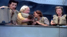 Paradise Road Image 3