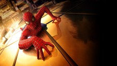Spider-Man Image 4