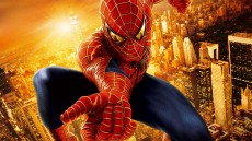 Spider-Man Image 3