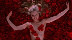 American Beauty Image 4