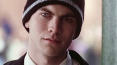 American Beauty Image 2