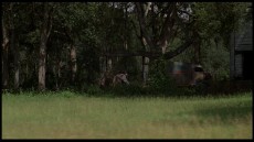 Jeepers Creepers Image 3