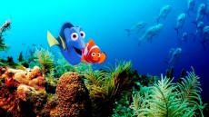 Finding Nemo Image 4