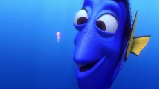 Finding Nemo Image 2