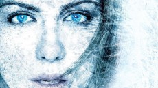Whiteout Image 4