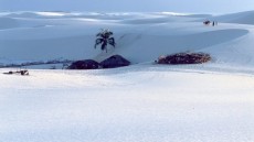 House of Sand Image 1