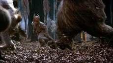 Where the Wild Things Are Image 4