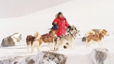 Eight Below Image 4