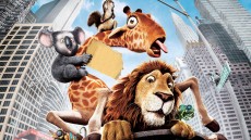 The Wild Image 1