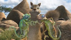 The Wild Image 4