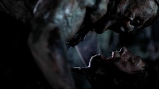 Hatchet Image 2
