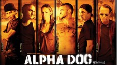 Alpha Dog Image 2
