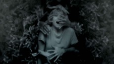 Pulse Image 1