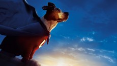 Underdog Image 3