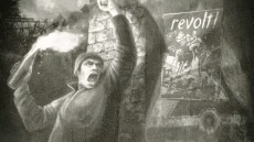 9 Image 3
