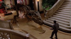 Night at the Museum Image 2