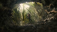 Ant-Man Image 1