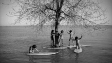 Surfwise Image 2