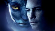 Avatar Image 1
