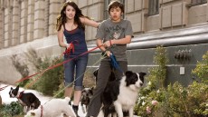Hotel for Dogs Image 2