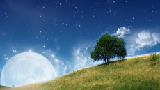 Under the Same Moon Image 1