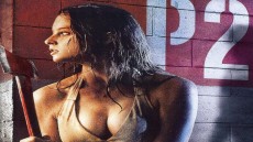 P2 Image 4