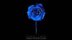 I Know Who Killed Me Image 3