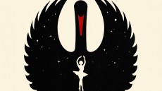 Black Swan Image 1