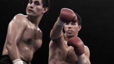 The Fighter Image 3