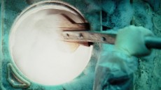 City of Ember Image 4