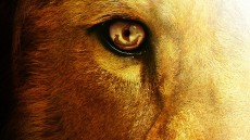 The Chronicles of Narnia: The Voyage of the Dawn Treader Image 4