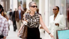 Beverly Hills Chihuahua Image 4