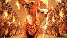 Beverly Hills Chihuahua Image 1