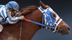 Secretariat Image 1