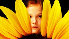 Phoebe in Wonderland Image 2