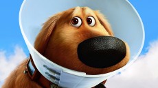 Up Image 2