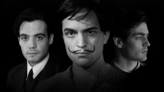 Little Ashes Image 3
