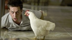 The Hangover Image 3