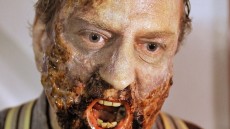 Survival of the Dead Image 1