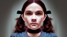 Orphan Image 2