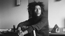 Marley Image 2