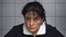 The Maid Image 1